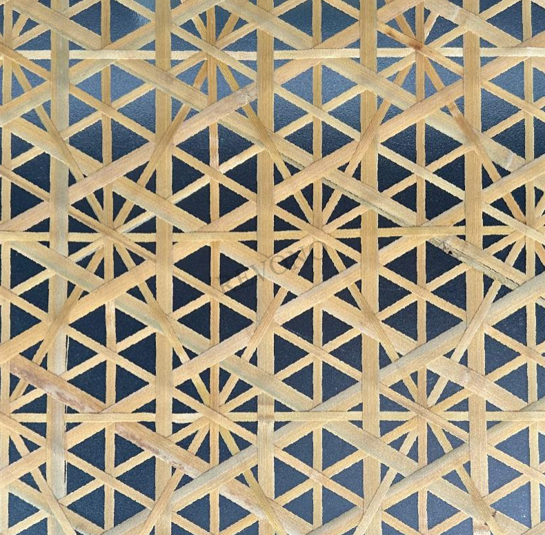 Ice Pellet Plate PA266