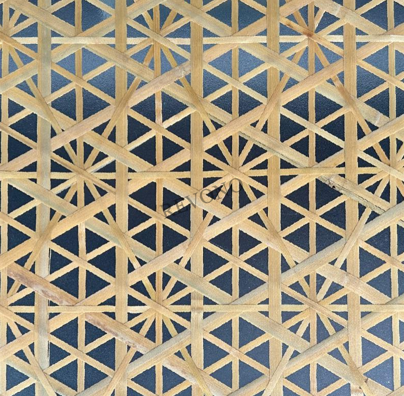 Ice Pellet Plate PA266