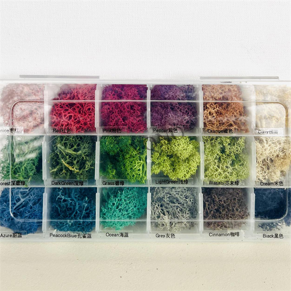 Eternal moss 18 colors